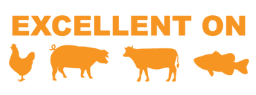 Blues Hog - Wild Wing Sauce