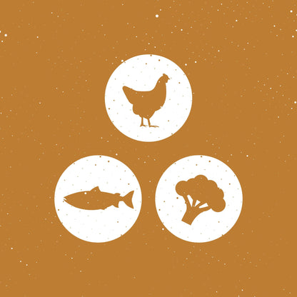 Graphic showing chicken, fish and vegetables